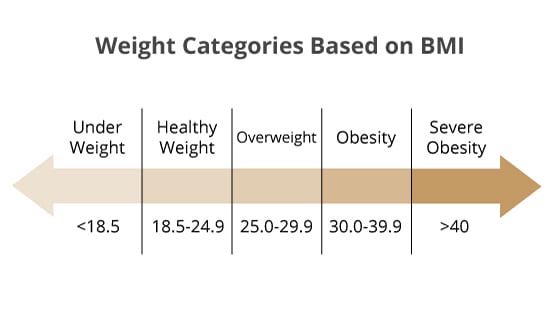 Weight categories based on BMI chart