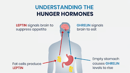 Impact of Gastric Sleeve Surgery On Hunger Hormone Ghrelin