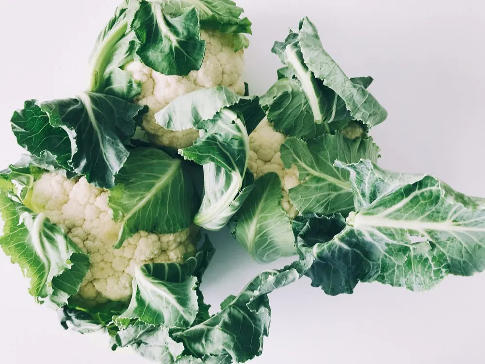 What I want you to know about our patients.